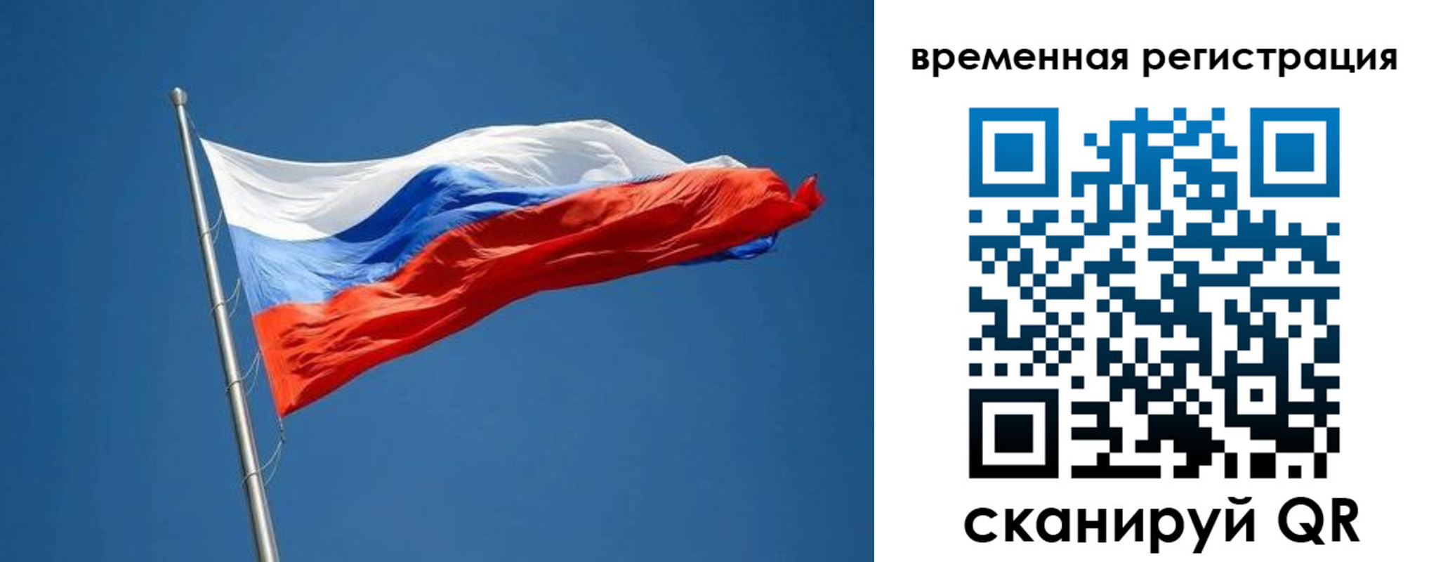 прописка законно в Кировске